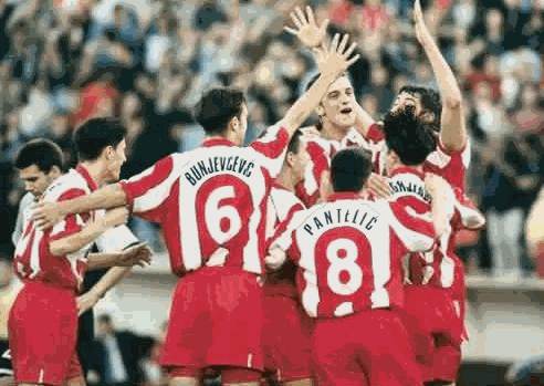 crvena zvezda 1991 report